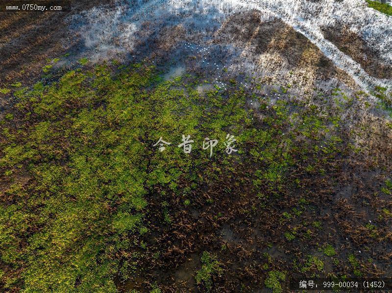 梅江生态园_航拍,人居环境
