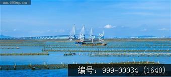 黄矛海大桥