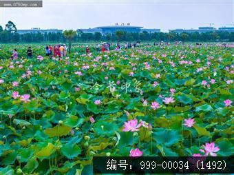 梅江生态园
