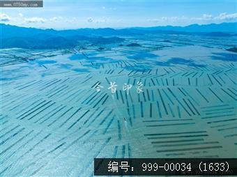 蚝排