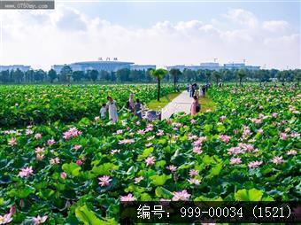 梅江生态园