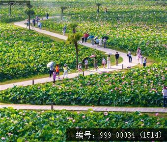 梅江生态园