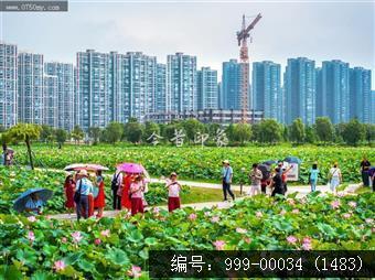 梅江生态园