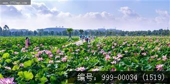 梅江生态园