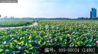 梅江生态园