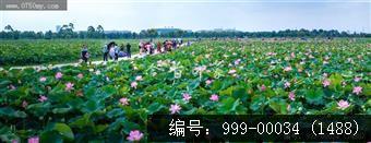梅江生态园