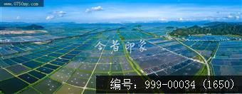 鱼塘