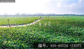 梅江生态园