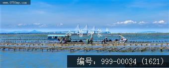 黄矛海大桥