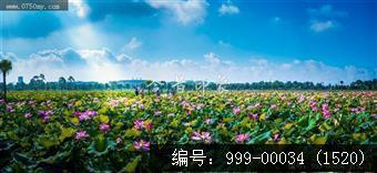 梅江生态园
