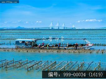 黄矛海大桥