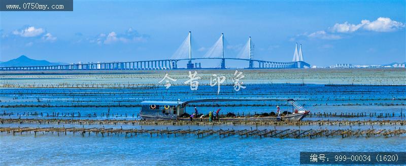 黄矛海大桥_航拍,交通水利