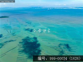 黄矛海大桥