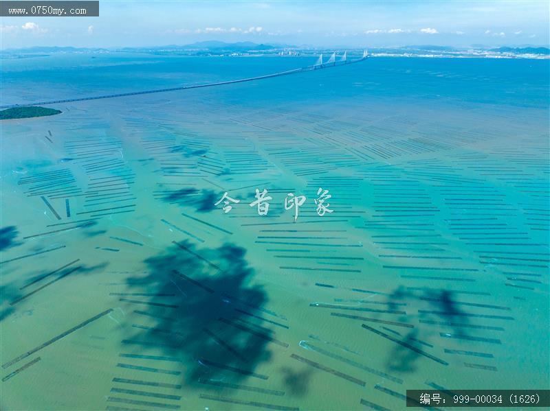 黄矛海大桥_航拍,交通水利