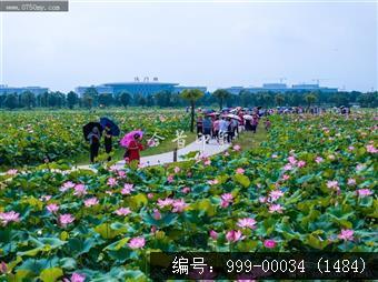 梅江生态园