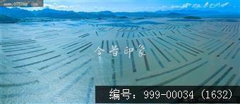蚝排