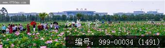 梅江生态园