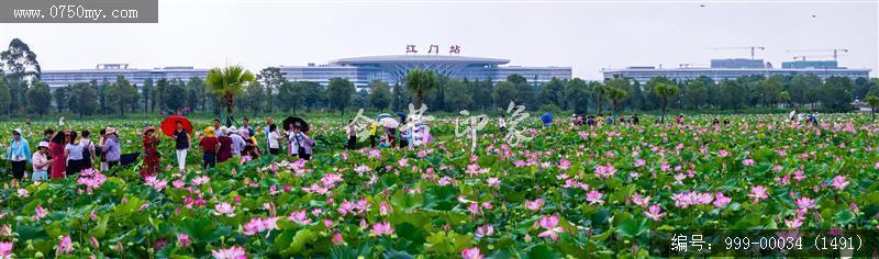 梅江生态园_航拍,人居环境