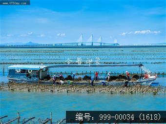 黄矛海大桥