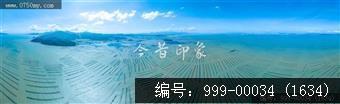 蚝排