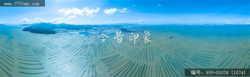 蚝排_航拍,渔业