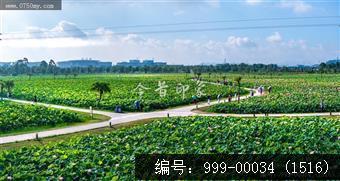 梅江生态园