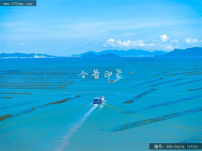 蚝排_航拍,渔业
