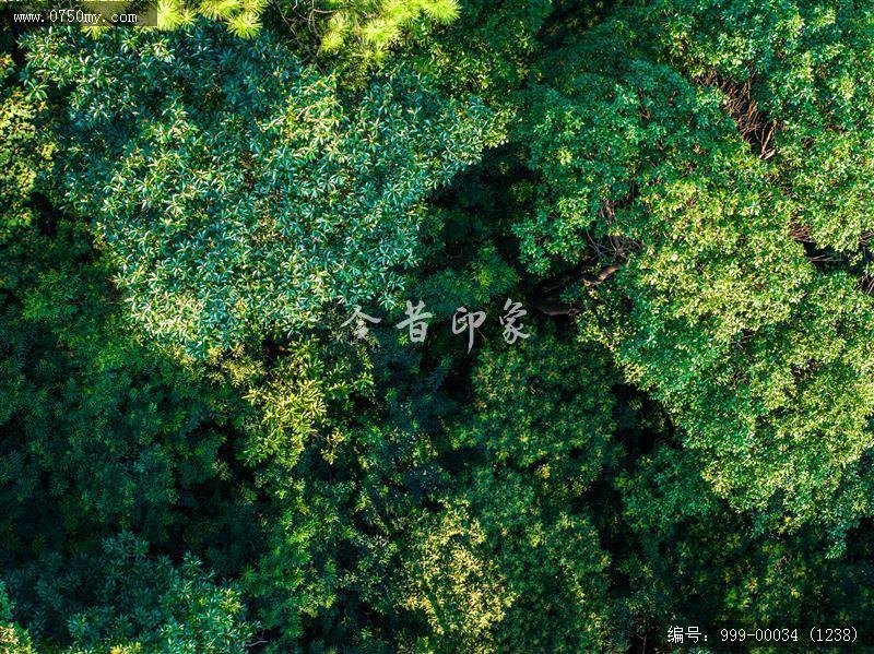 大石头公园_航拍,自然