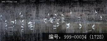 鹭鸟