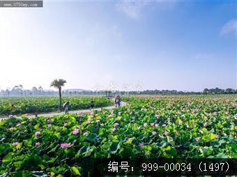 梅江生态园