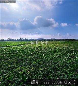 梅江生态园