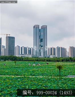 梅江生态园