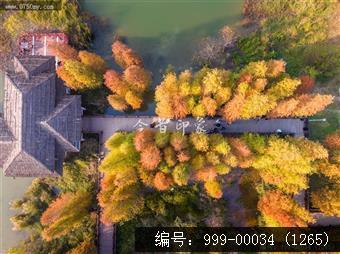大石头公园