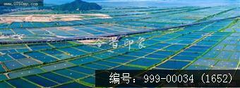 鱼塘