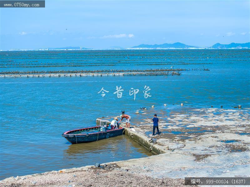 蚝排_航拍,渔业