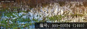 梅江生态园