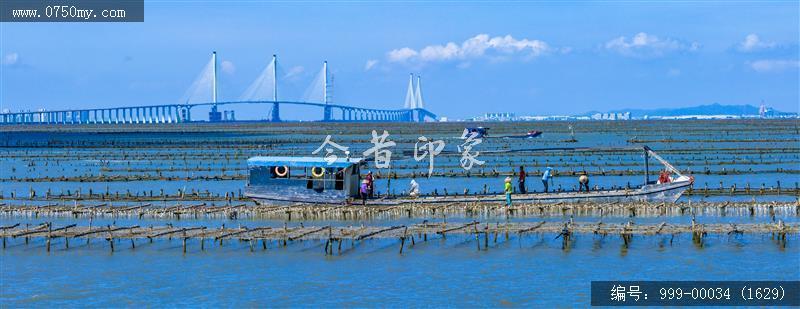 蚝排_航拍,渔业