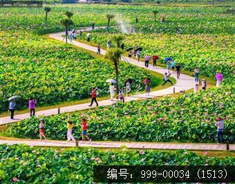 梅江生态园