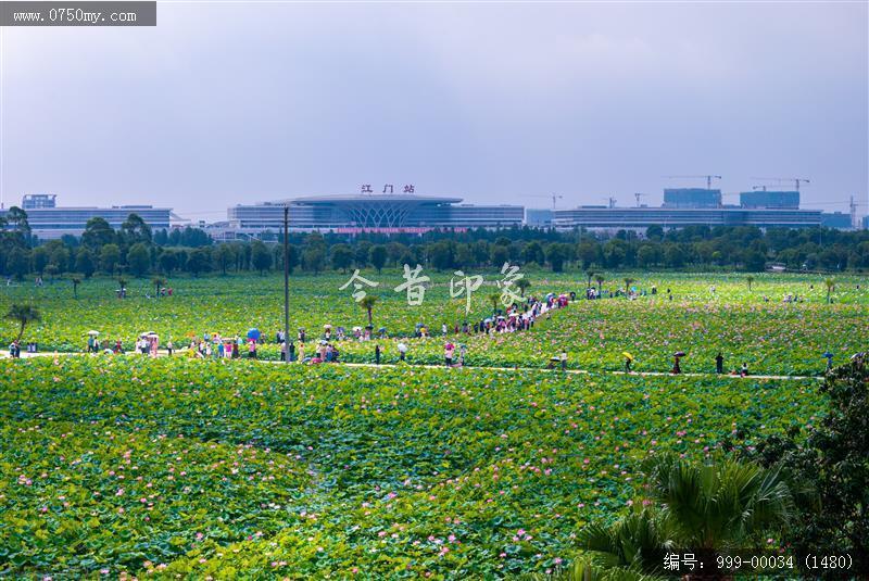 梅江生态园_航拍,人居环境
