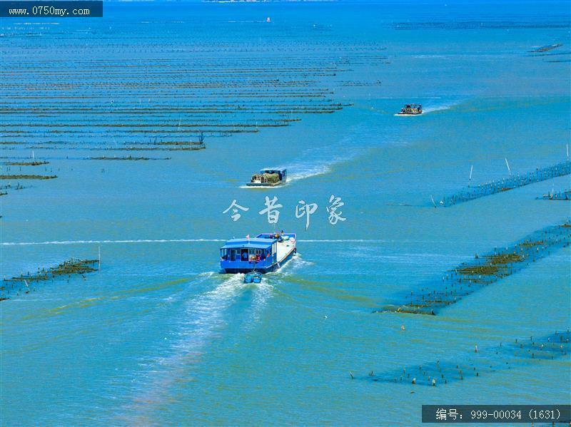 蚝排_航拍,渔业