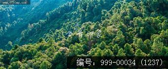 大石头公园