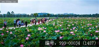 梅江生态园