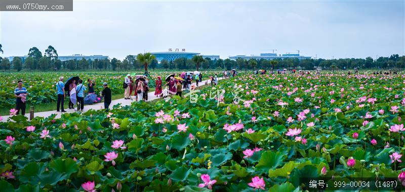 梅江生态园_航拍,人居环境