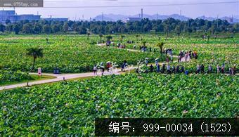 梅江生态园