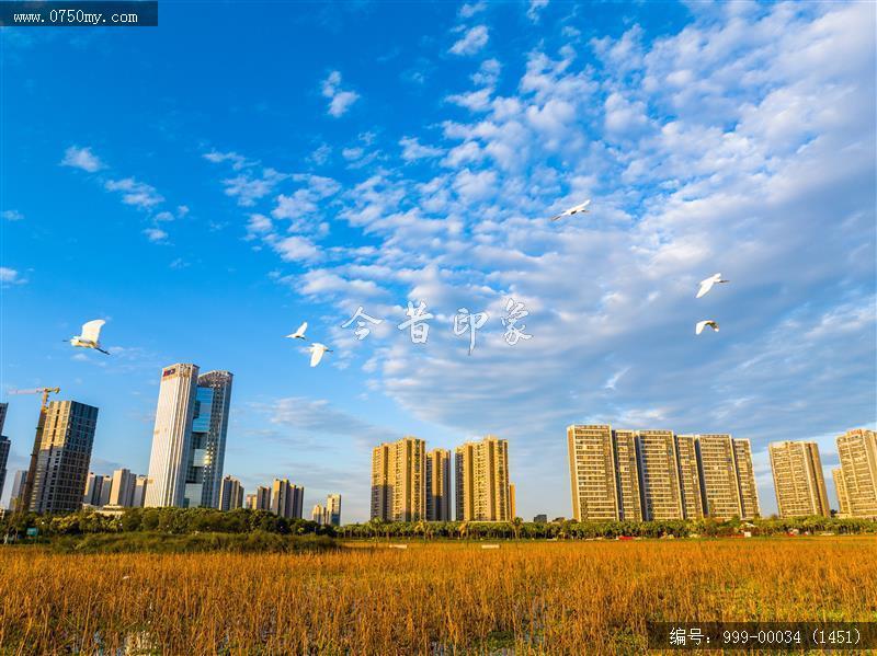 梅江生态园_航拍,人居环境