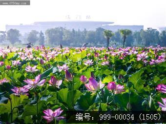 梅江生态园