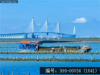 黄矛海大桥