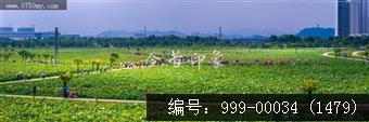 梅江生态园