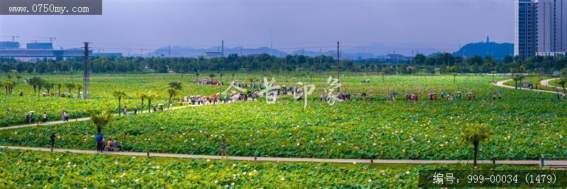 梅江生态园_航拍,人居环境