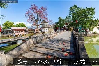 双水步天桥